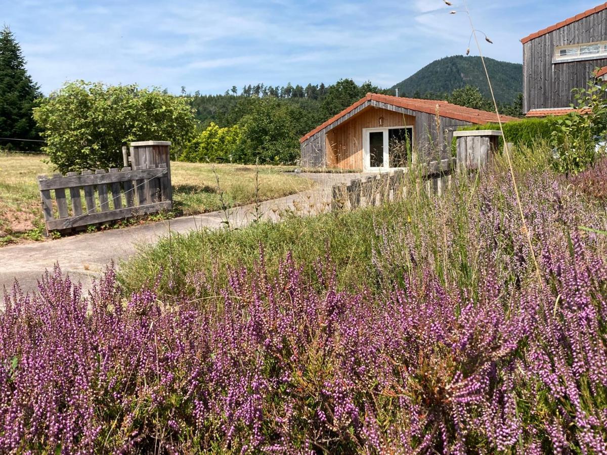 Le Chalet Dans La Nature Saulcy-sur-Meurthe 외부 사진